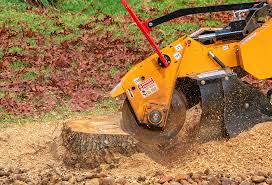 Best Soil Testing and Treatment  in , TX